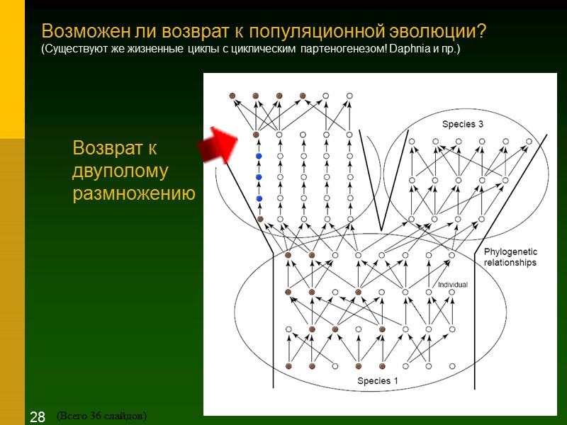 Возврат к двуполому размножению  Возможен ли возврат к популяционной эволюции? (Существуют же жизненные